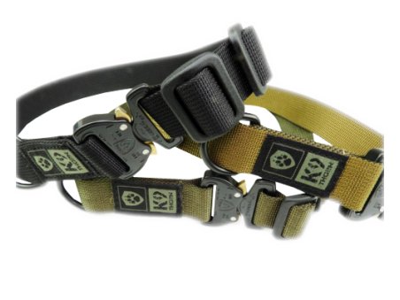 Collar Cobra One Black Collar Cobra One Black