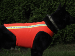 Reflective Vest for Dog